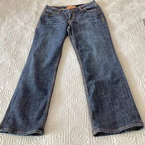 WORN Womens  Jeans Size 12 Straight Legs Medium Wash